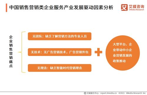 2021上半年中國企業(yè)服務專題研究報告 信息咨詢服務的發(fā)展與變革