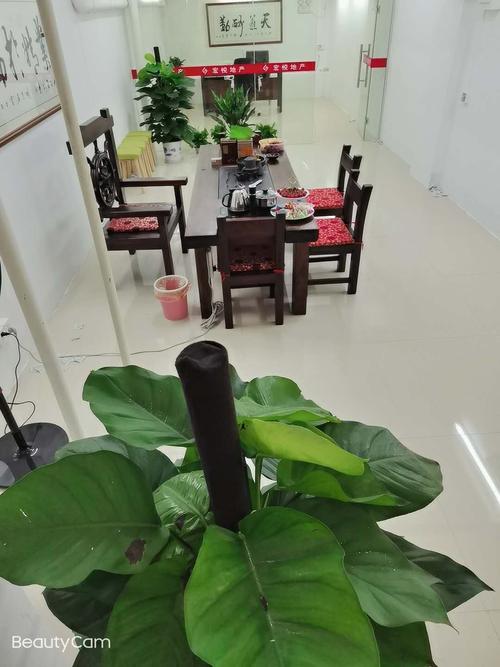 房產資訊的貼心向導——惠州市惠城區宏悅房地產信息咨詢服務部